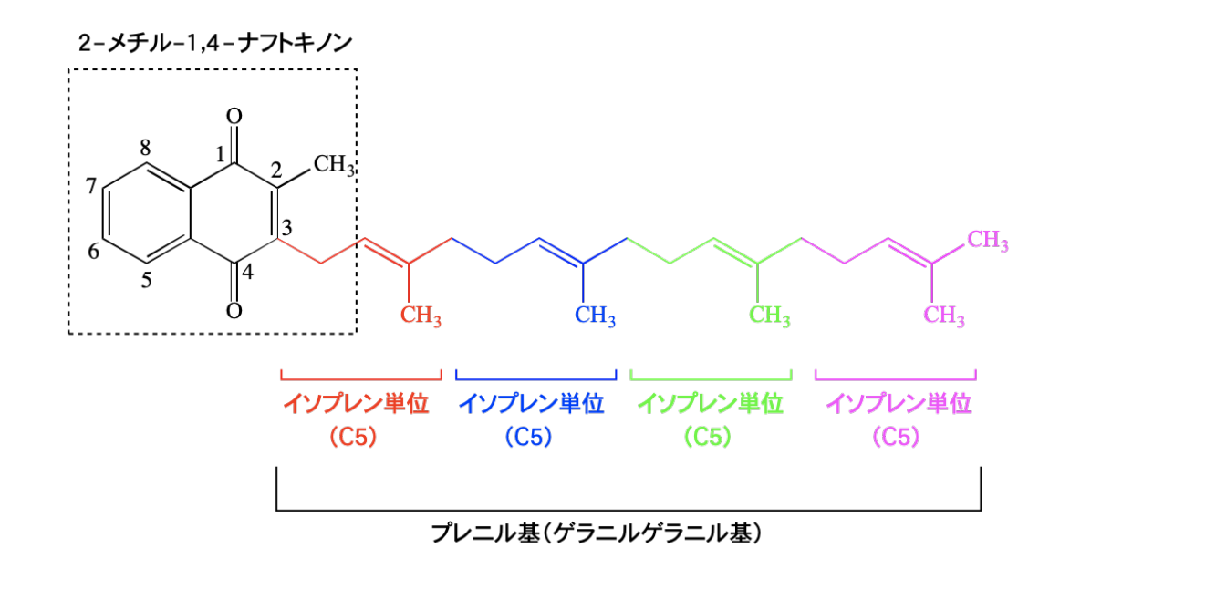 解説画像